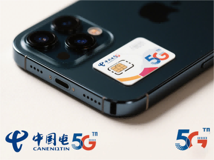 沙中土命和沙中金命是否存在相克关系