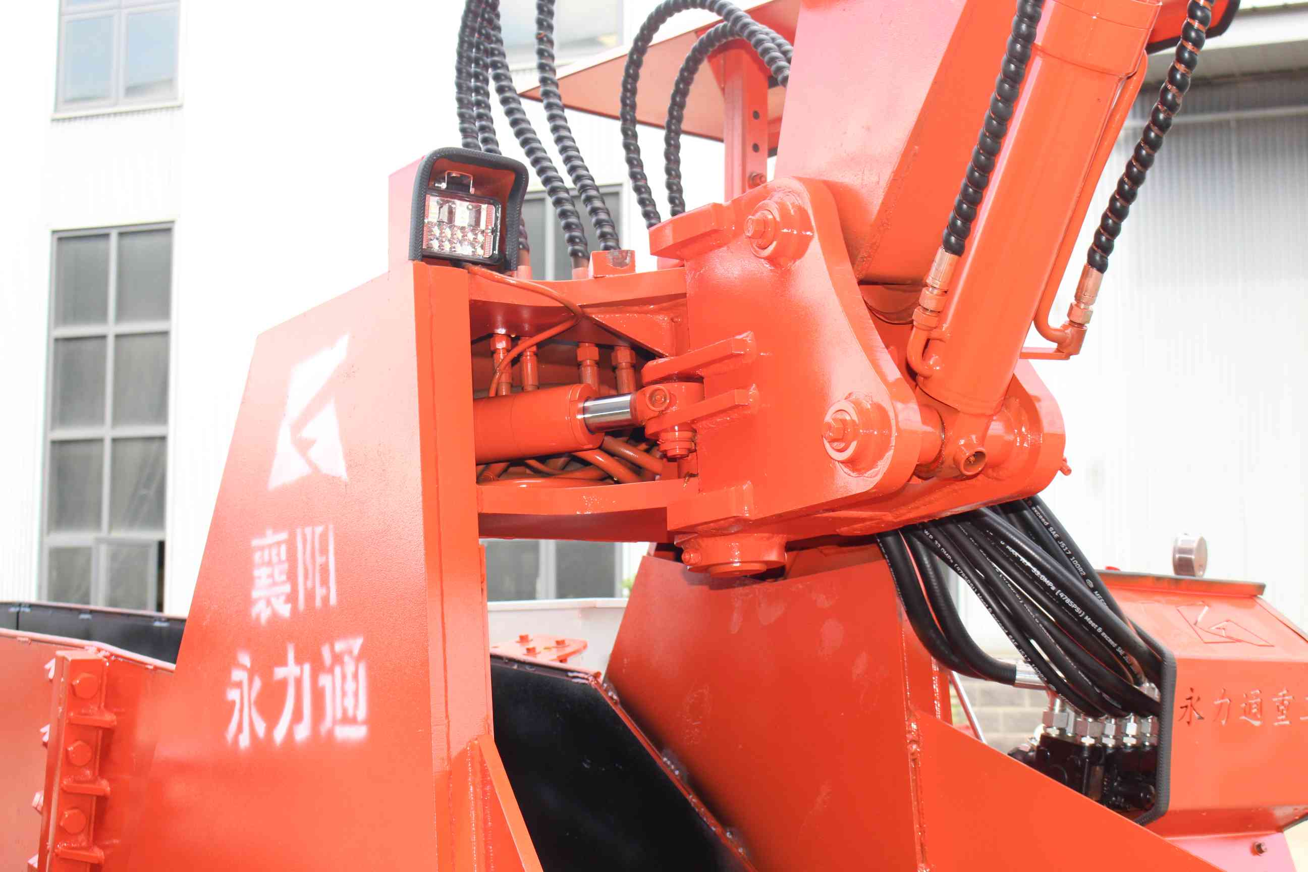 《郁金香谐音取名寓意：探寻那一份独特的美好与深意》