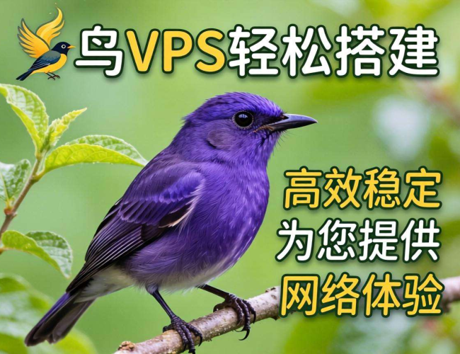 紫鸟VPS搭建教程：从入门到上手轻松搞定