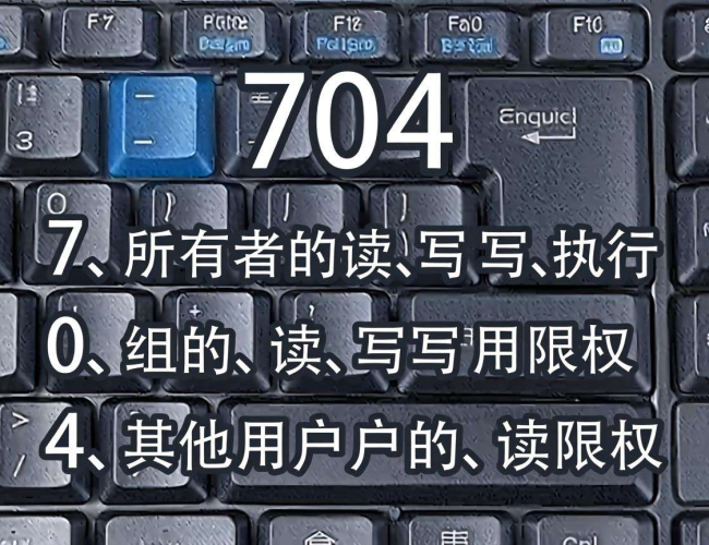 Linux中704权限含义解析：探索数字背后的文件访问规则