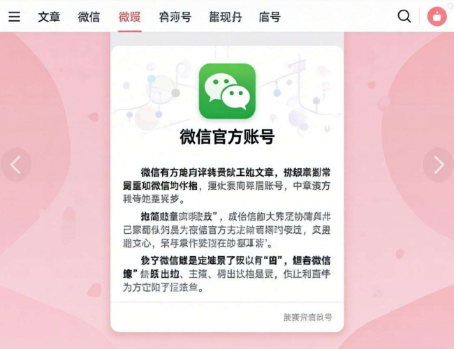公众号网页项目源码大揭秘：搭建实用网页就靠这些代码！