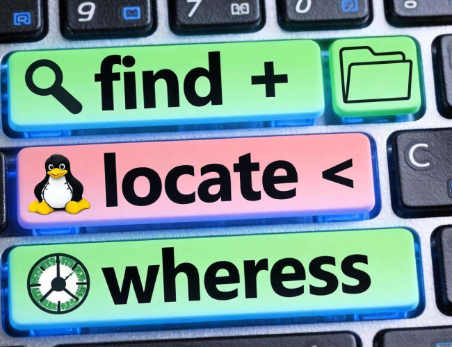 Linux查找文件命令大揭秘：高效定位文件的实用技巧