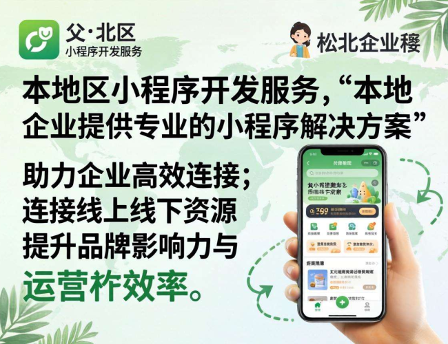 松北区小程序开发服务：为企业量身定制，开启智慧营销新征程