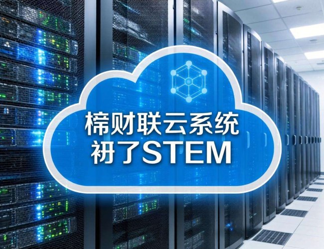 财务系统是否需要服务器?一文带你了解其中奥秘