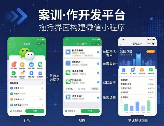 低代码开发小程序：高效搭建，开启小程序开发新捷径