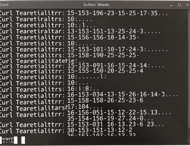 Linux命令实现网站路径扫描：探索与实践